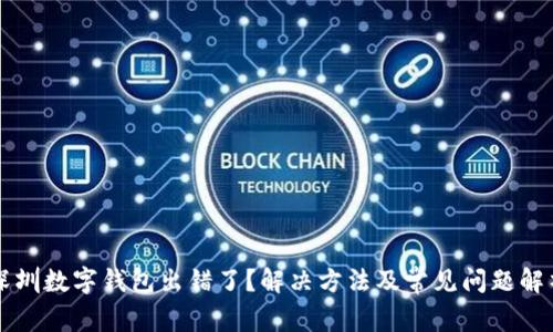 深圳数字钱包出错了？解决方法及常见问题解析