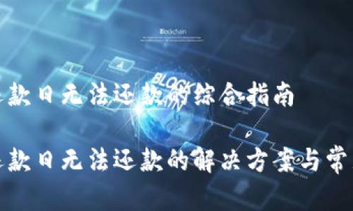 数字钱包还款日无法还款的综合指南

数字钱包还款日无法还款的解决方案与常见问题解析