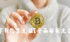 : 如何往数字钱包里充值？全面解析充值方式与步
